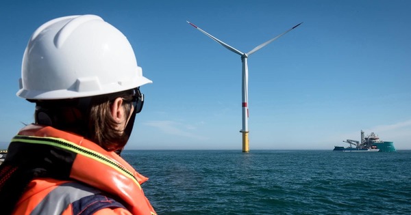 Les bons résultats de la filière éolienne offshore