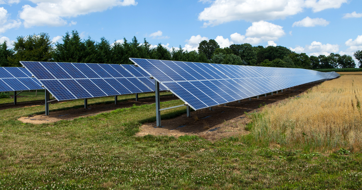 L'impact des parcs photovoltaïques en zones naturelles suscite des inquiétudes