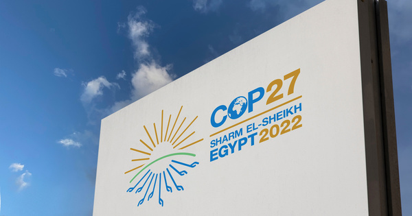 COP 27 : une première semaine mitigée pour les ONG