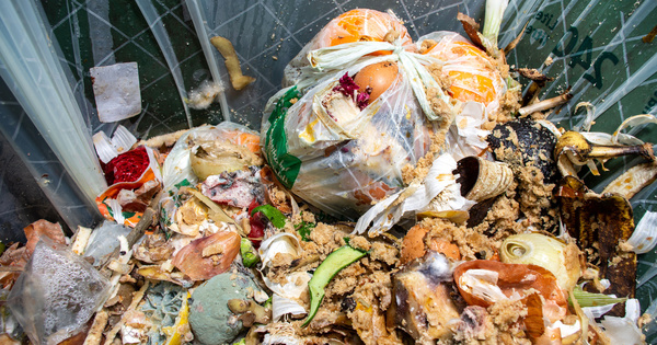 Plastiques biodégradables ou compostables : l'Anses déconseille de les mettre dans le compost domestique
