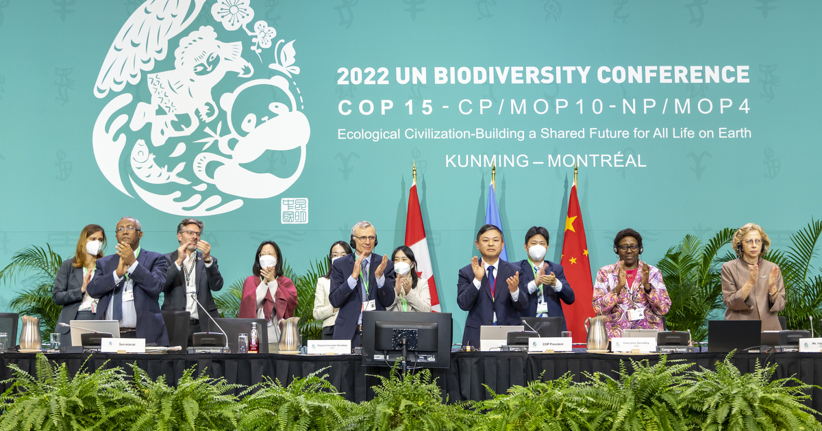 Un nouveau cadre mondial pour enrayer l'effondrement de la biodiversité d'ici à 2030