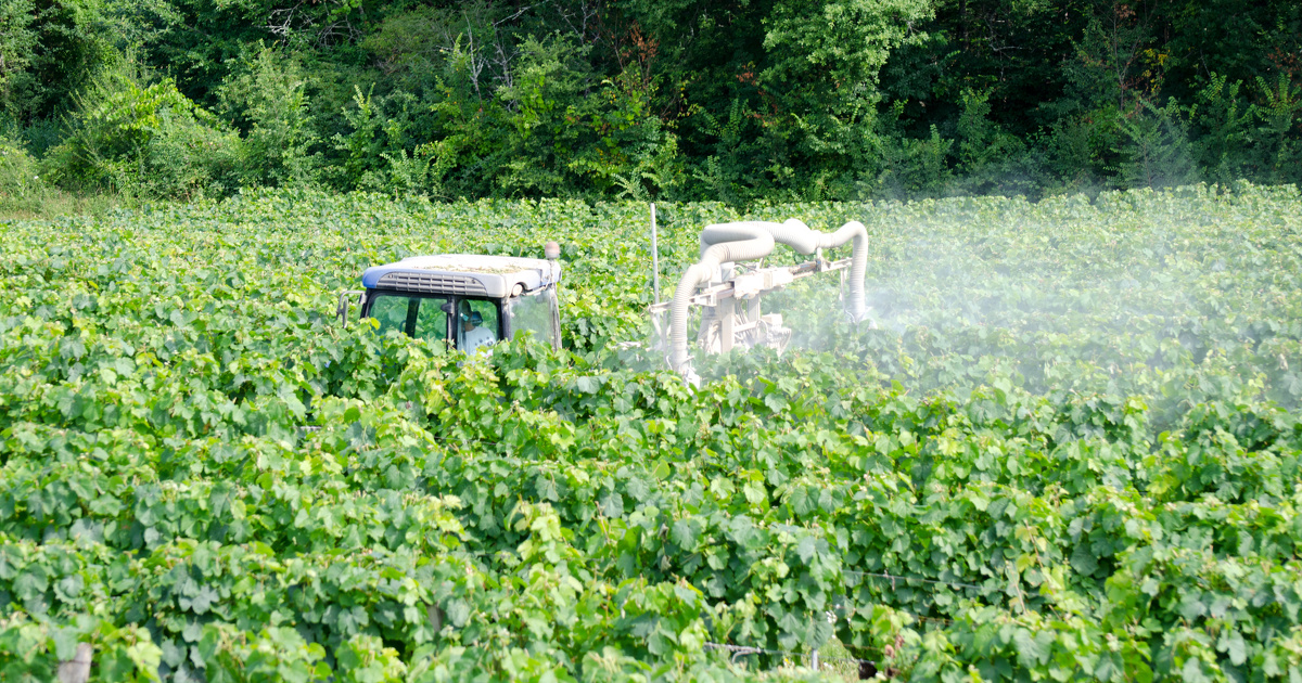 Pesticides dans l'air : Générations futures demande l'interdiction de deux fongicides