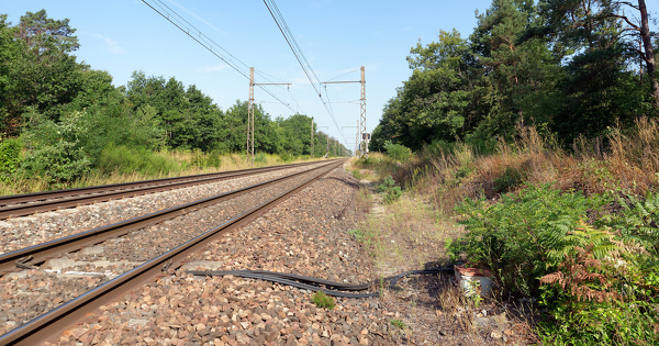 Planification des infrastructures et de la mobilité : le train en première ligne 