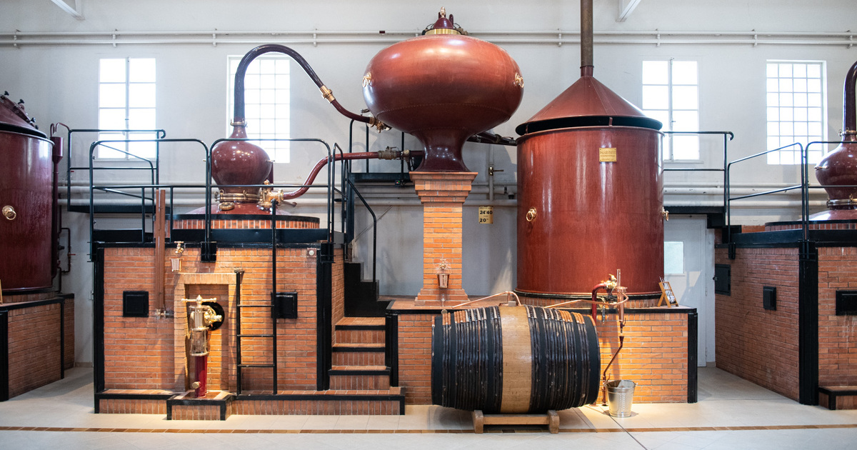 Distillation du cognac: un brleur hybride biomthane-hydrogne expriment avec succs
