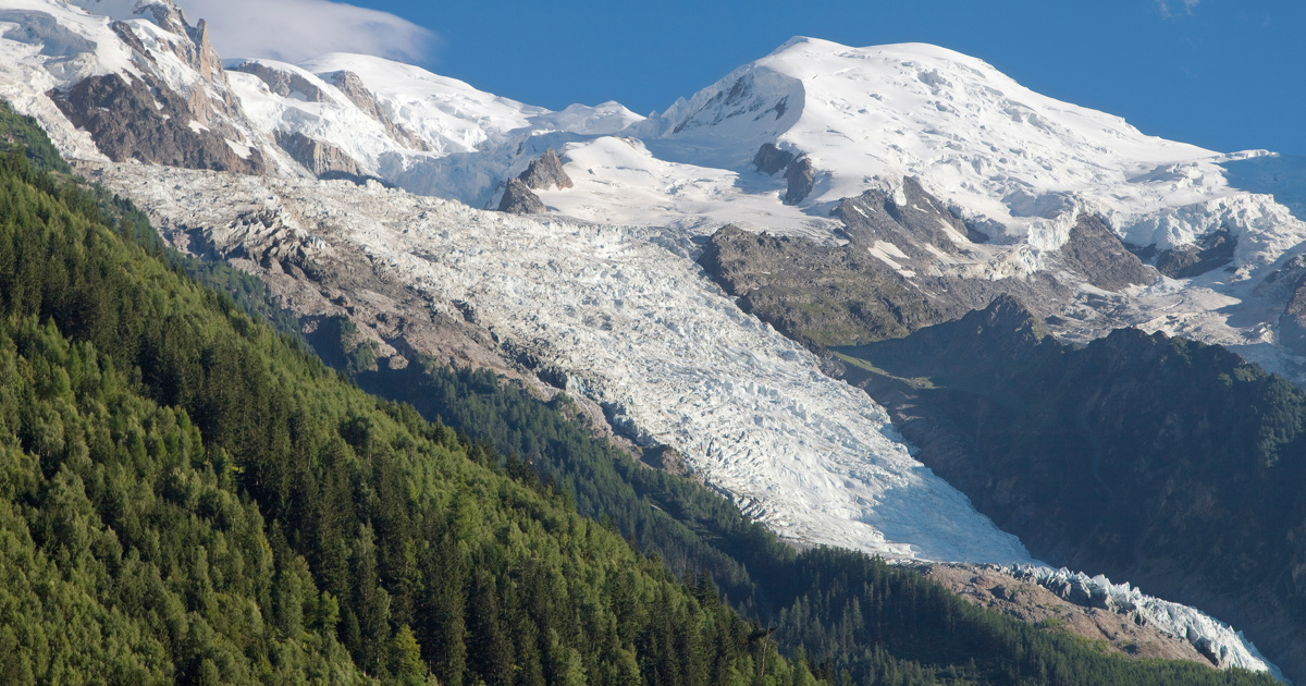 La fonte des glaciers, une perte pour le climat mais un gain pour la biodiversité ?