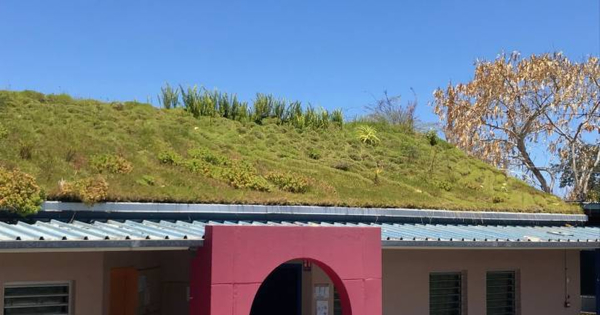 Une start-up réunionnaise développe des toits végétalisés sans usage de substrat