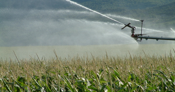 Redevances sur l'irrigation et les pesticides�: des pr�sidents de comit�s de bassin montent au cr�neau