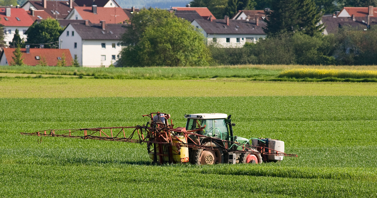 En bio, les agriculteurs européens peuvent désormais choisir leurs semences