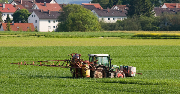 Pesticides: limiter l'exposition des riverains implique des zones de non-traitement nettement plus grandes