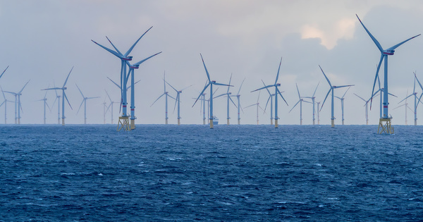 Éolien offshore : le scénario de planification maritime que privilégie la filière