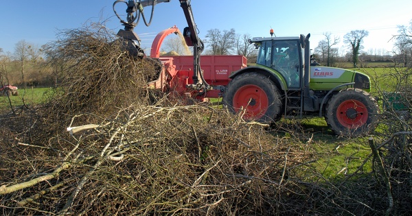 L'Ademe formule ses recommandations sur la hi�rarchisation des usages de la biomasse