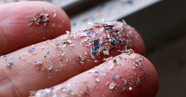 Microplastiques�: une �tude en pleine crise du Covid-19 montre l'impact des activit�s humaines