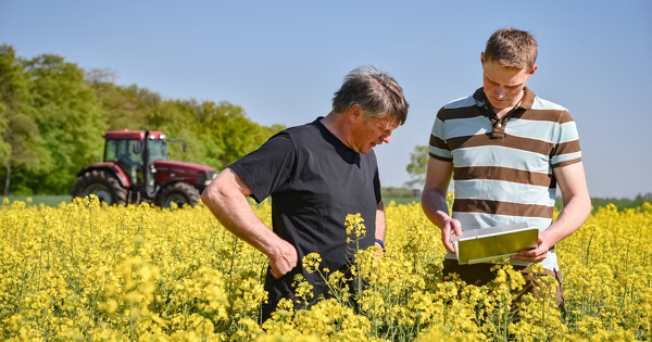 Produits phytosanitaires�: l'avenir plus qu'incertain du conseil strat�gique