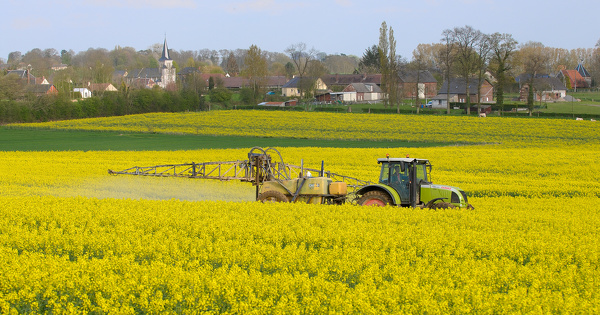 Victimes des pesticides�: les riverains se regroupent pour lancer une action collective