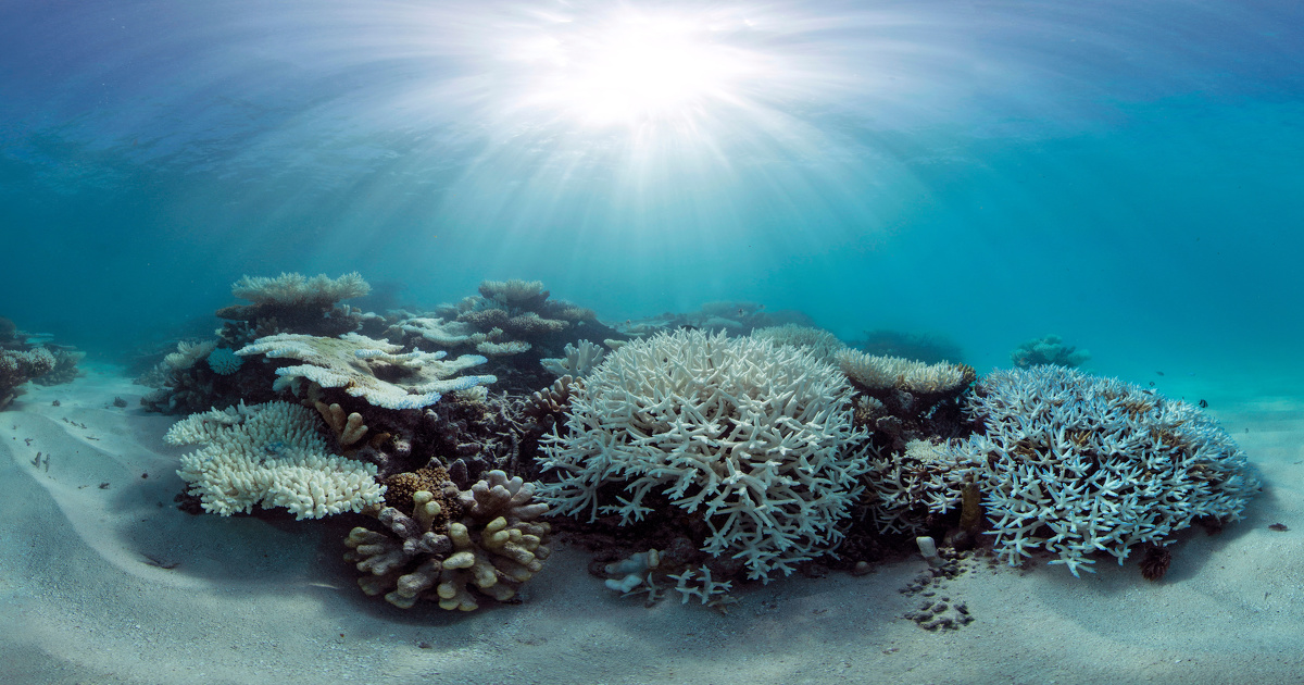 Changements climatiques�: le Tribunal international du droit de la mer affirme le devoir d'action des �tats  