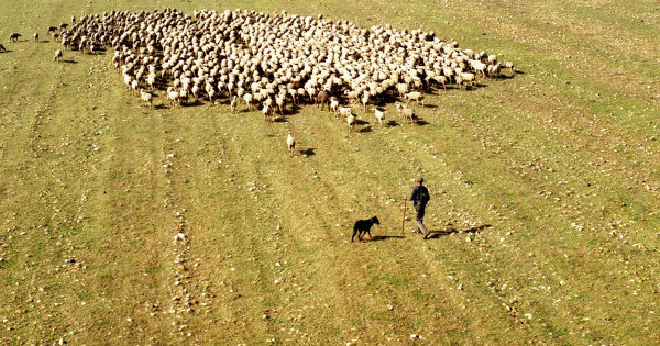 L'agr�ment des sites naturels de compensation va devenir plus facile