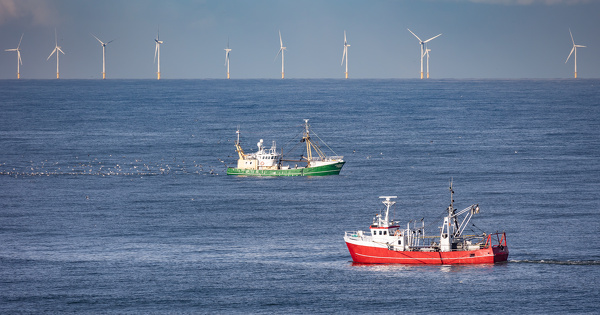 �olien en mer�: le d�bat public sur les fa�ades maritimes livre ses r�flexions