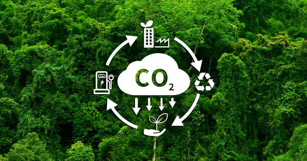 Norme Corporate Net-Zero�: la SBTi renonce � int�grer les cr�dits carbone