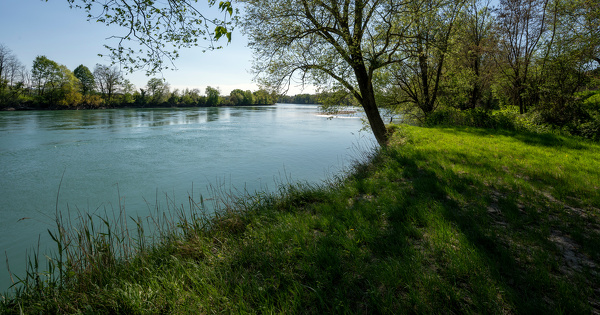 Rh�nergia�: le projet abandonn�, la question des solutions alternatives se pose