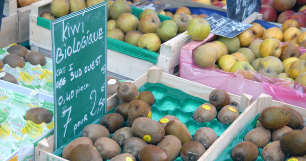 Agriculture bio�: la Cour des comptes europ�enne pointe les lacunes de l'Europe