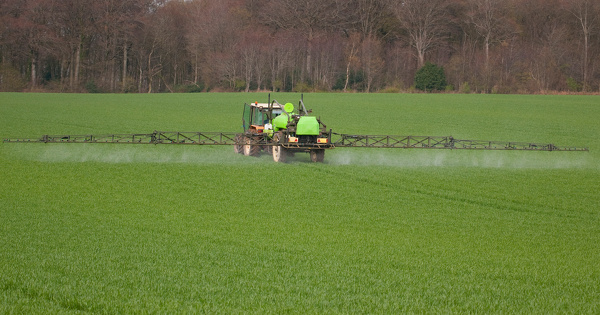 Pesticides�: des associations europ�ennes demandent le retrait du fluf�nacet