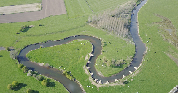 Restauration �cologique des cours d'eau�: les points de vigilance pour une discussion apais�e