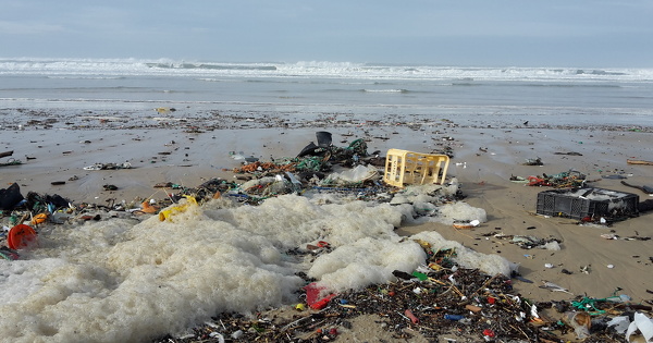 L'abondance des d�chets persiste sur le littoral