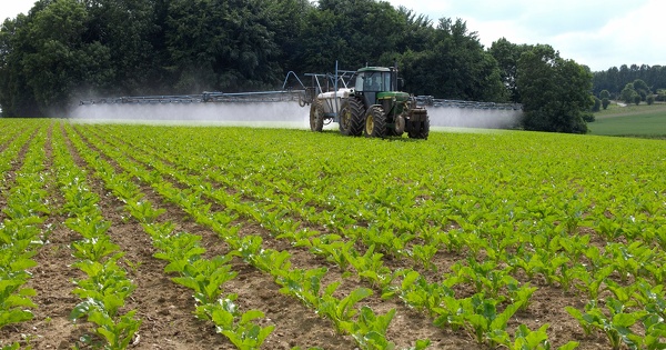 Proposition de loi Duplomb�: les parlementaires ouvrent la voie � plusieurs r�gressions environnementales