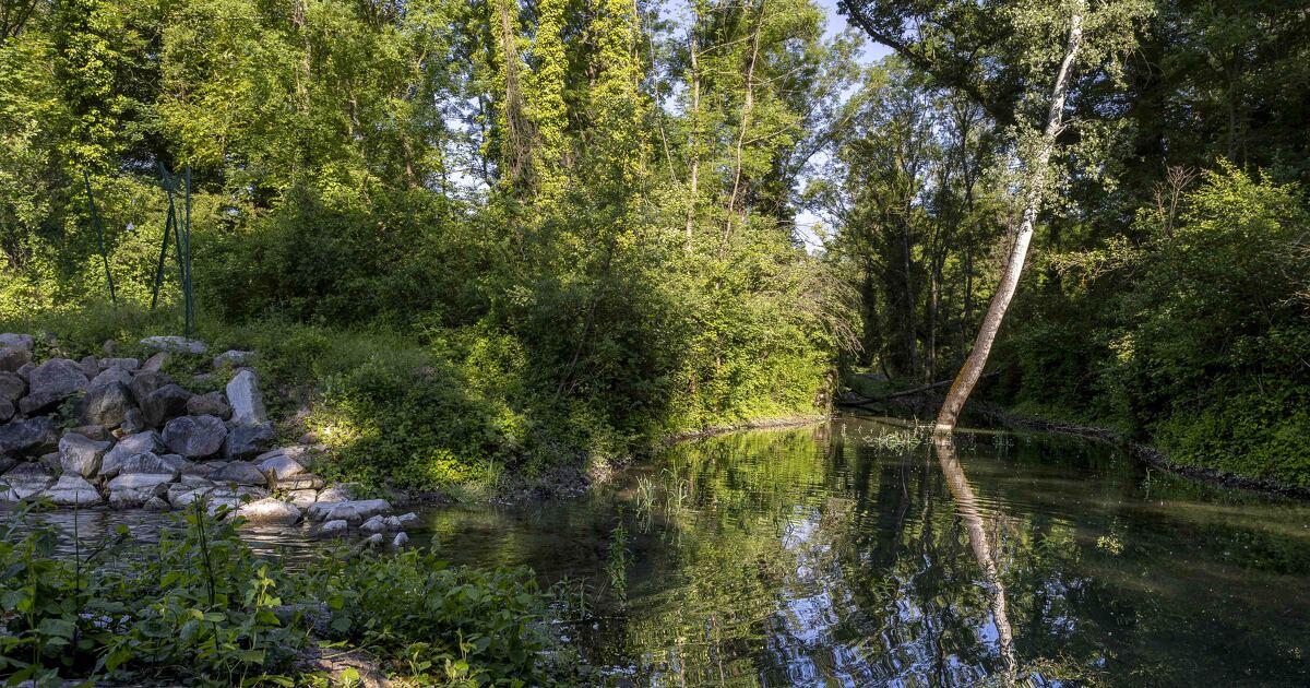 Remise en eau d'une l�ne du Rh�ne�: les premiers r�sultats sont encourageants