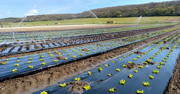 Bassin du Tescou�: ce que proposent les m�diateurs pour le partage de l'eau
