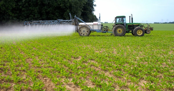 Loi Duplomb�: les d�put�s devraient poursuivre le d�bat post-p�tition en s�ance publique