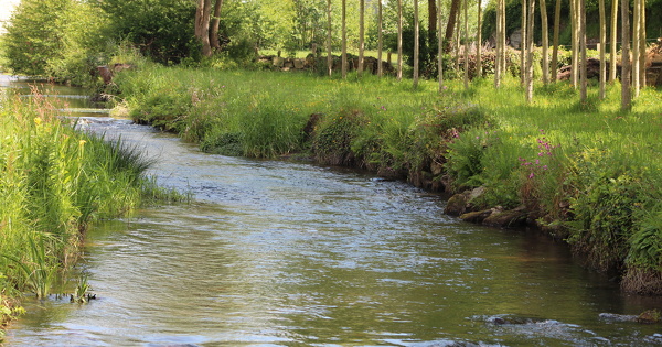 Des d�put�s s'attaquent � la restauration des cours d'eau