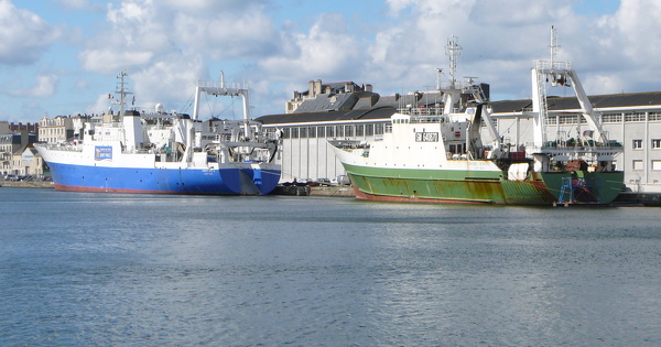 Une �tude in�dite l�ve le voile sur l'empreinte carbone de la p�che