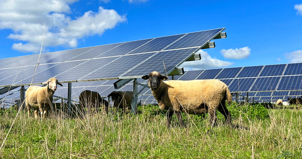 L'agrivolta�sme�met-il la charrue avant les boeufs�?