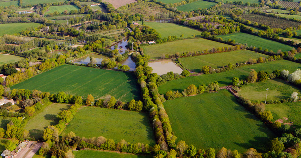 Un projet de d�cret pr�voit de faciliter la destruction des haies