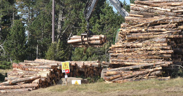 Projet de loi Ddadue (3/3)�: vers des usages �nerg�tiques de la biomasse plus durables