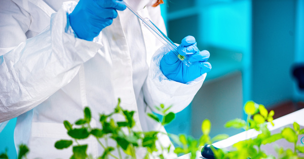 Nouveaux OGM�: le Conseil et le Parlement europ�ens trouvent un accord