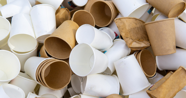 Le Gouvernement veut reporter � 2030 l'interdiction d�finitive des gobelets contenant du plastique