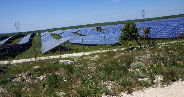 Syst�me �lectrique�: RTE appelle � acc�l�rer l'�lectrification