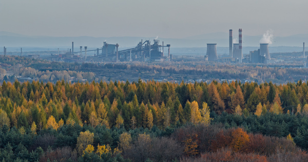 Les projets strat�giques du programme Life ignorent les besoins les plus urgents