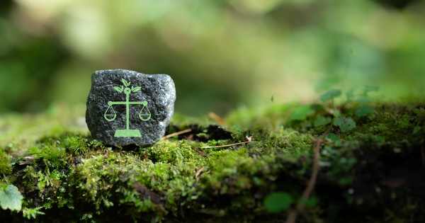 P�les r�gionaux environnementaux�: ce qu'il reste � faire pour en am�liorer le fonctionnement