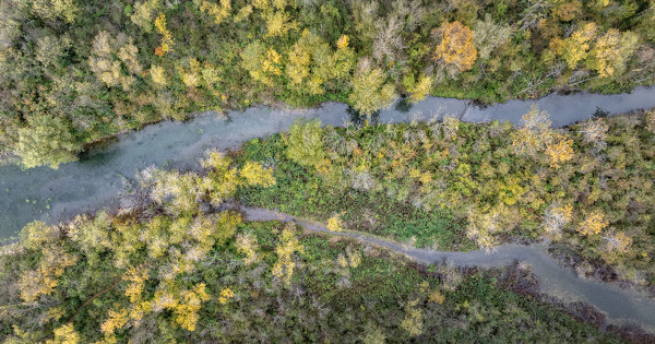 La remise en eau de la l�ne de Jonage du Rh�ne est p�rennis�e 