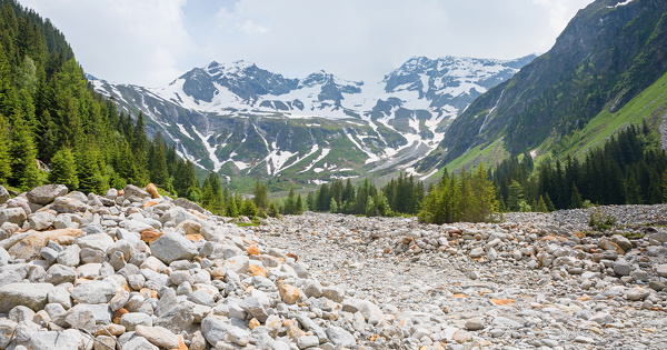 Le droit � la protection de la propri�t� n'est pas garanti dans les contentieux climatiques 