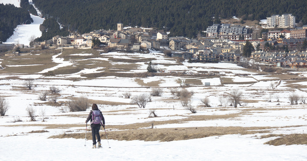 Comment le secteur immobilier s'adapte au changement climatique