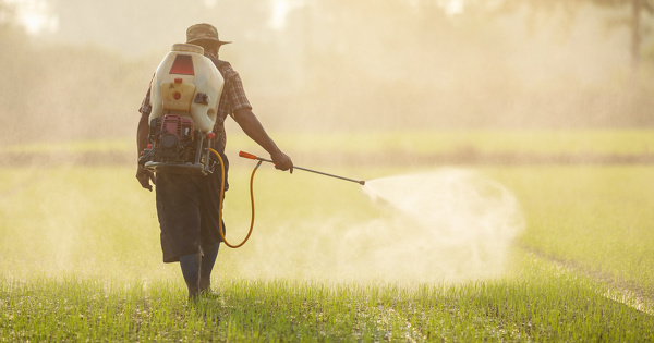 Nouvel appel � une interdiction europ�enne d'exporter les pesticides interdits dans l'UE