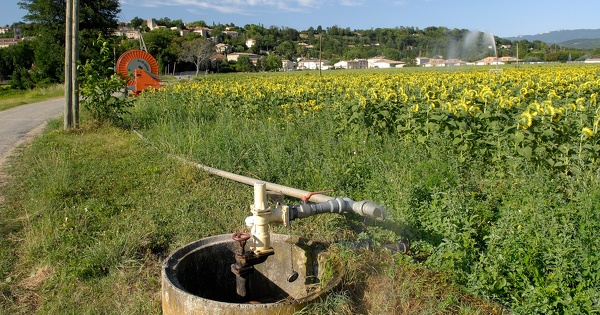 La loi Duplomb rebat les cartes du partage de l'eau dans les territoires
