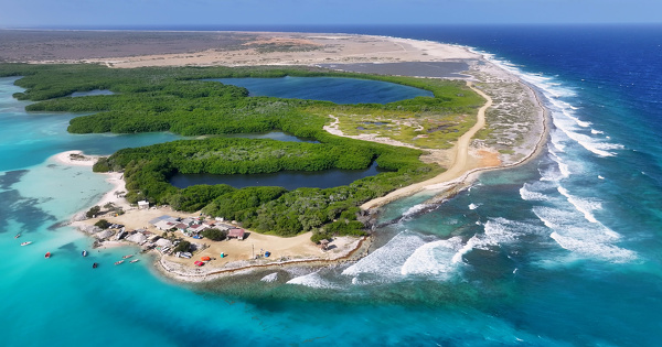 Changement climatique : les Pays-Bas doivent faire plus pour prot�ger les Bonairiens