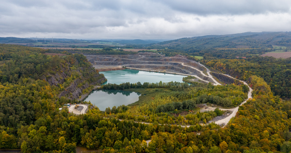 D�pendantes de la nature, les entreprises sont, elles aussi, menac�es de disparition