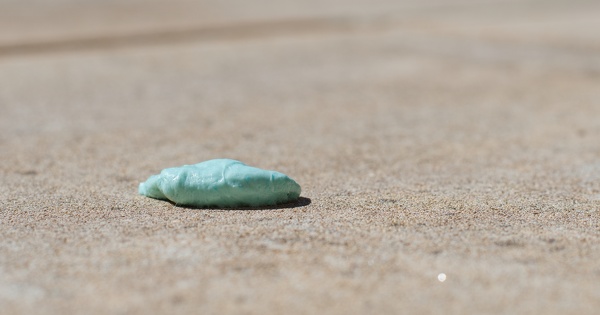 Loi Ddadue�: les s�nateurs retouchent les dispositions ���conomie circulaire��