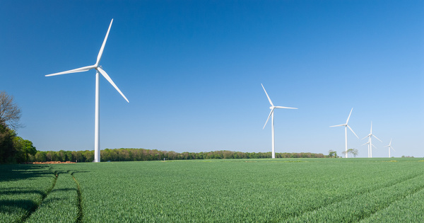 La sobri�t� et les ENR, cl�s d'une meilleure souverainet� �nerg�tique, selon le RAC